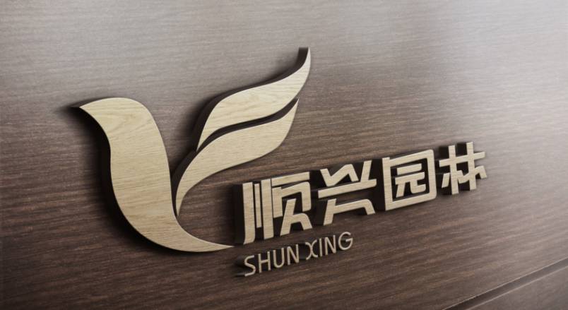 元江VI设计：城市品牌蝶变的核心引擎